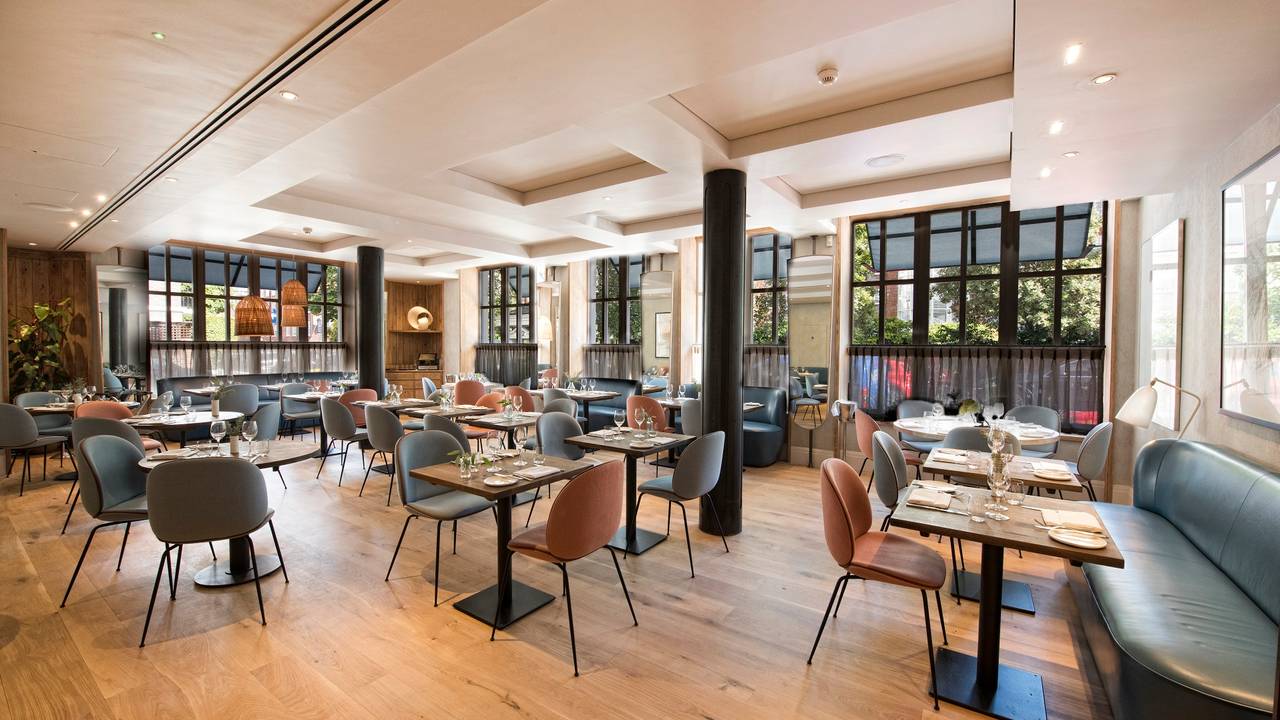 Elystan Street header