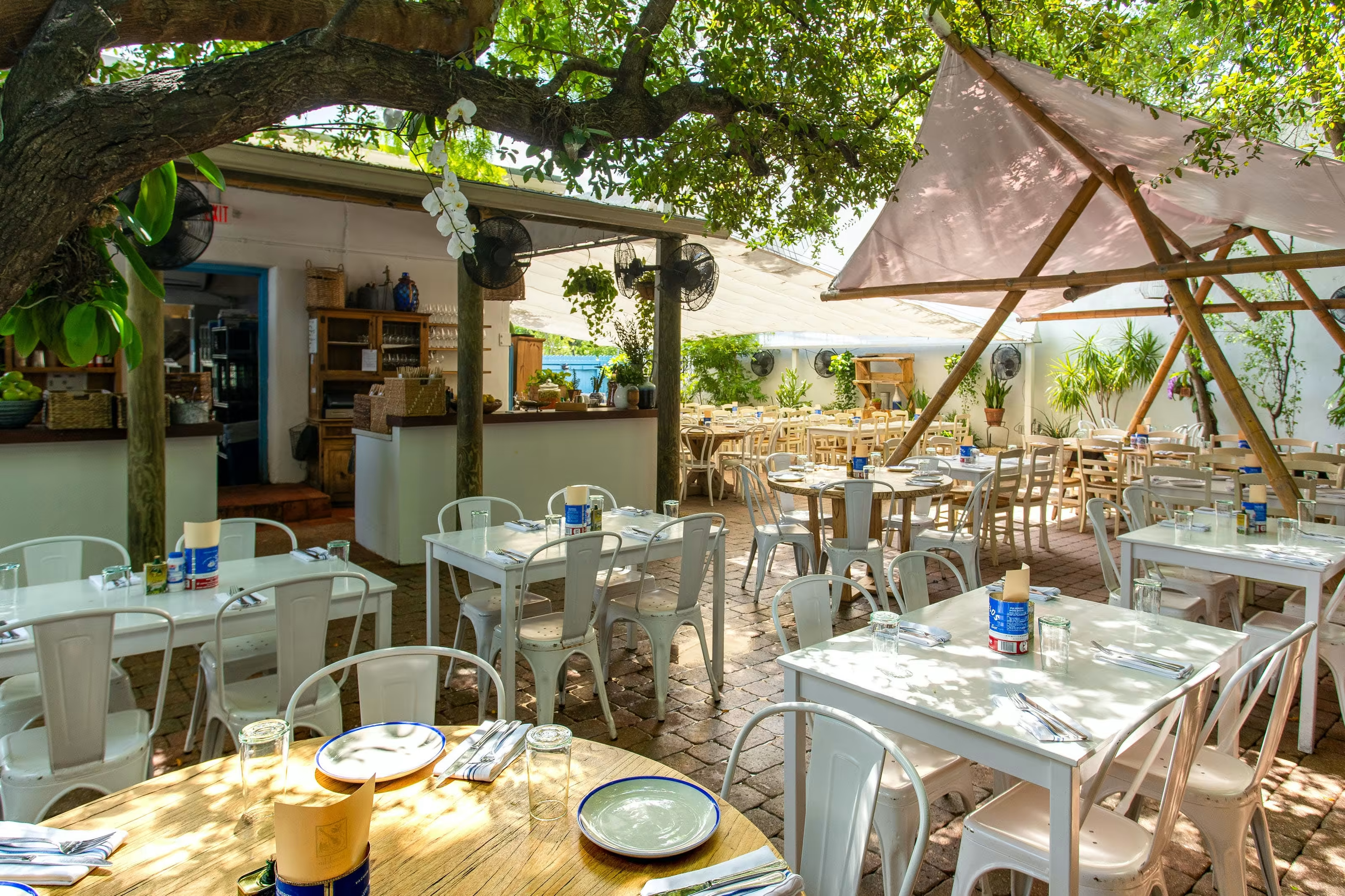 Mandolin Aegean Bistro header